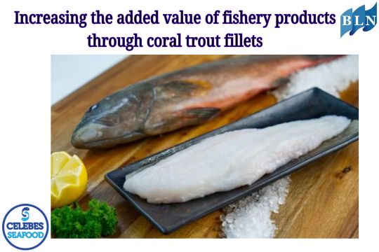 Increasing the added value of fishery products through coral trout fillets